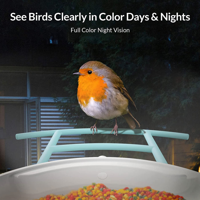 Smart Bird Feeder Camera, Bird Watching, Bird House Camera with Motion Detection & Auto Capture - Gear Elevation