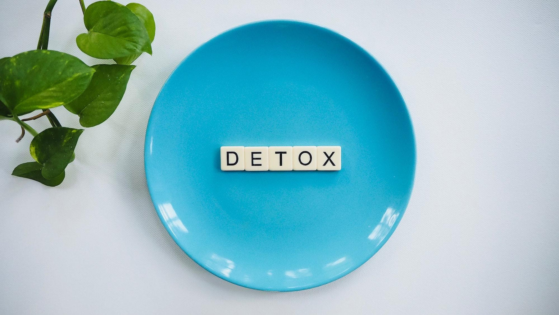 The Importance of Detoxification In Maintaining a Healthy Body - Gear Elevation