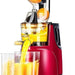 Automatic Juicer - Juicer Household Residue for Fruits and Vegetables - Gear Elevation