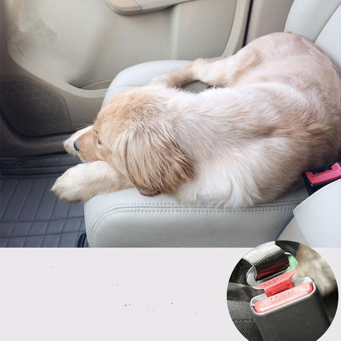 Adjustable Pet Seat Belt - Gear Elevation