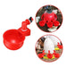 Automatic Chicken Water Cup - 5 Pcs Chicken Water Cup Automatic Drinker for Chickens - Gear Elevation