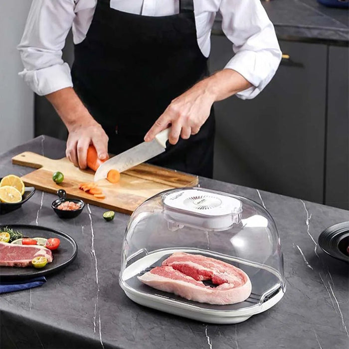 Defrosting Machine - Preservation And Defrosting Tray for Frozen Meat - Gear Elevation