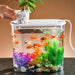 Desktop Aquarium - Planter Tank Shatterproof Home Office Decor - Gear Elevation