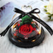 Eternal Love - Real Rose In Glass Dome Exclusive Rose Immortal Flower - Gear Elevation