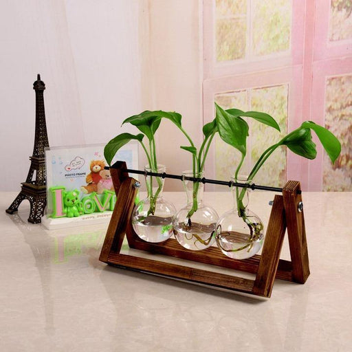 Green Space Glass Terrarium - Hydroponic Plant Transparent Vase With Wooden Frame - Gear Elevation