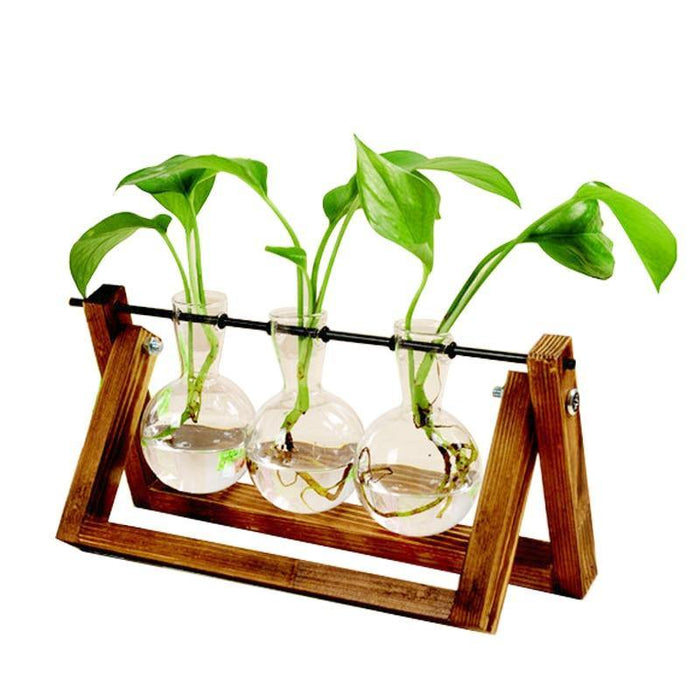 Green Space Glass Terrarium - Hydroponic Plant Transparent Vase With Wooden Frame - Gear Elevation