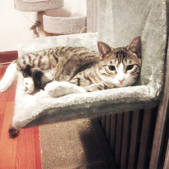 Instant Cat Hanging Bed Hammock - Pet Hammock Warm Resting Hanging Seat Lounge - Gear Elevation