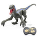 Jurassic Velociraptor Dinosaur RC Toy - Gear Elevation