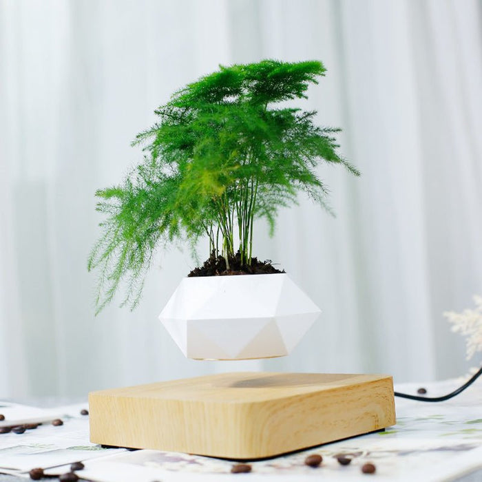 Levitating Bonsai Pot - Gear Elevation