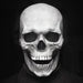 Movable Jaw Realistic Full Head Skull Mask - Human Skeleton Mask for Halloween Party - Gear Elevation