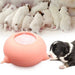 Portable Pet Milk Feeding Bowl - Puppies Nursing Station for New Born Pets - Gear Elevation