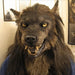Scary Wolf Mask - Costume Mask for Halloween Masquerade Party - Gear Elevation
