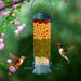 Squirrel-Proof Bird Feeder - Decoration Hanging Hummingbird Water Feeder Tools - Gear Elevation