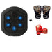 Wall-Mounted LED Light Music Boxing Machine for Kickboxing Boxing Karate Home Gym Training - Gear Elevation